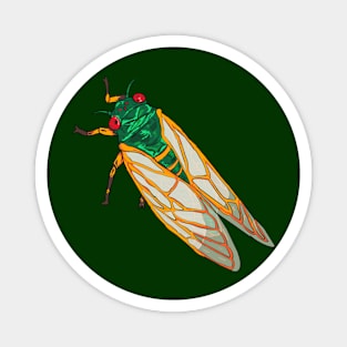 Cicada's Song Magnet